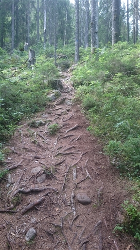 Bild uppladdad av Stefan Nilsson