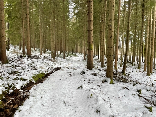 Bild uppladdad av Anonymiserad