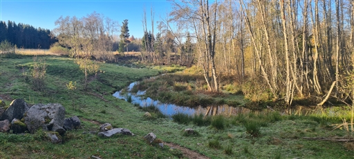 Bild uppladdad av Henrik Ortman