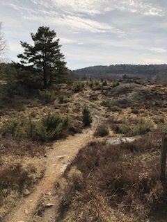 Bild uppladdad av Per Rikner