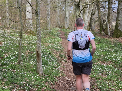 Bild uppladdad av Nicklas Nordborg