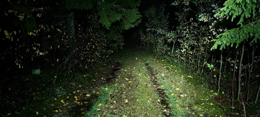 Bild uppladdad av Henrik Ortman