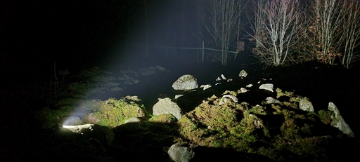 Bild uppladdad av Nicklas Nordborg