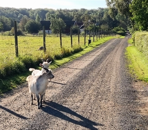 Bild uppladdad av Nicklas Nordborg