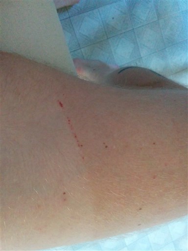 Bild uppladdad av Anders Karlsson