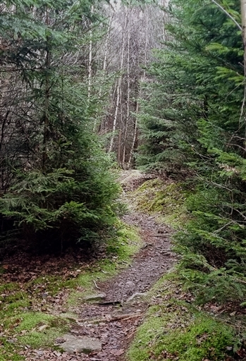 Bild uppladdad av Nicklas Nordborg