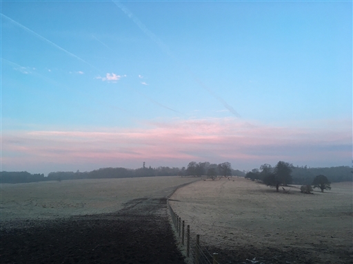 Bild uppladdad av Jonas Köhler