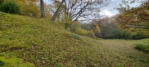 Bild uppladdad av Nicklas Nordborg