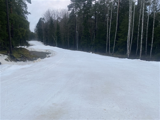 Bild uppladdad av Kicki Dahlberg 