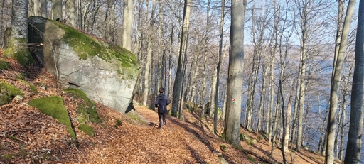 Bild uppladdad av Nicklas Nordborg