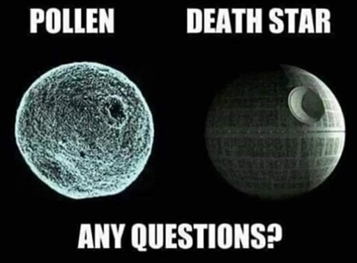 Bild uppladdad av PK Svensson