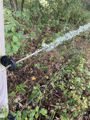 Bild uppladdad av Forrest Gump =)