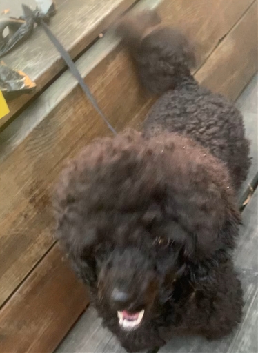 Bild uppladdad av Forrest Gump =)