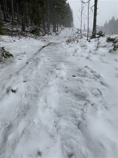 Bild uppladdad av Oskar Åstrand