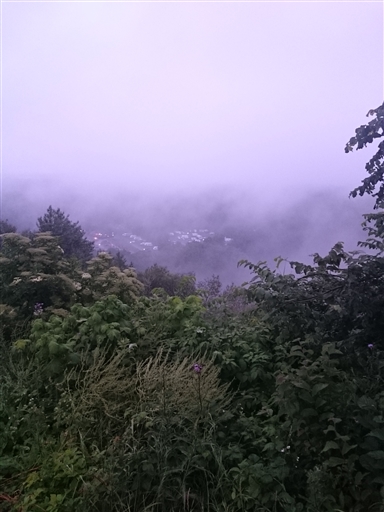 Bild uppladdad av Patrik Pettersson