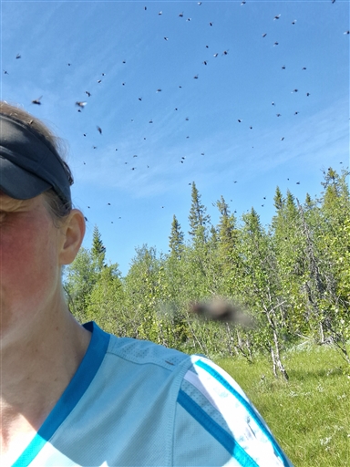 Bild uppladdad av Anna