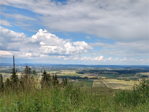 Bild uppladdad av Sverker Olsson