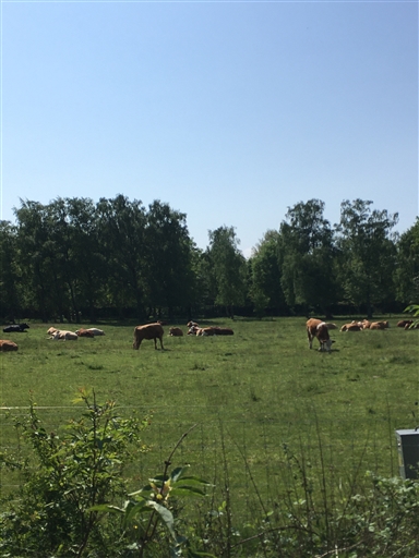 Bild uppladdad av Håkan B