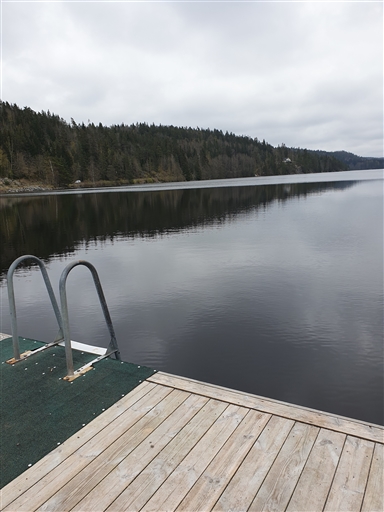 Bild uppladdad av Mikael Lipschütz 