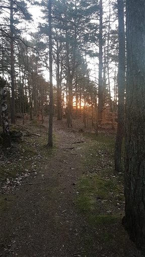 Bild uppladdad av Thomas Abrahamsson 