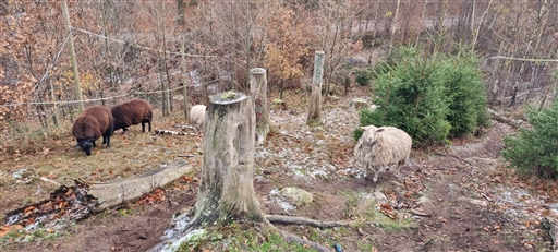 Bild uppladdad av Nicklas Nordborg