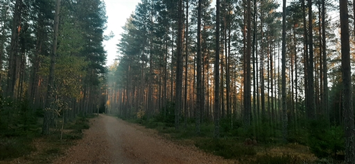 Bild uppladdad av Eva Enmark