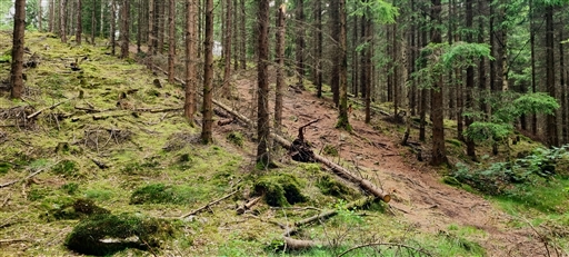 Bild uppladdad av Nicklas Nordborg