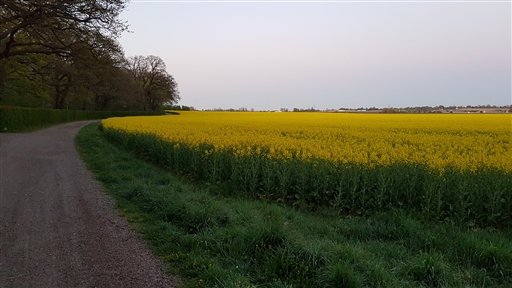 Bild uppladdad av Jim