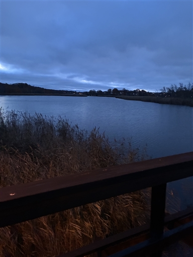 Bild uppladdad av Maria Petersson