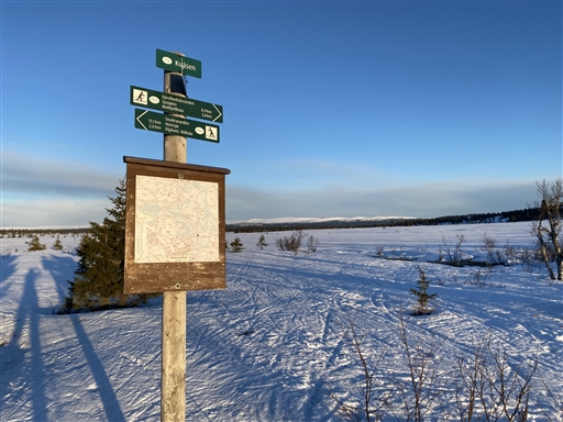 Bild uppladdad av Kicki Dahlberg 