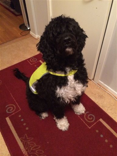 Bild uppladdad av Anita 