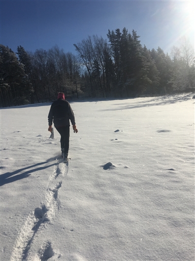 Bild uppladdad av Maria Broström