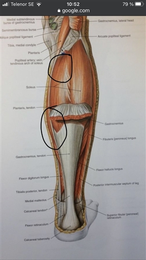 Bild uppladdad av Jesper