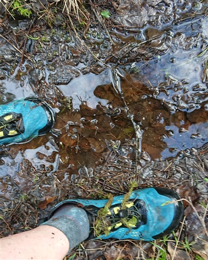 Bild uppladdad av Jenny Nilsson