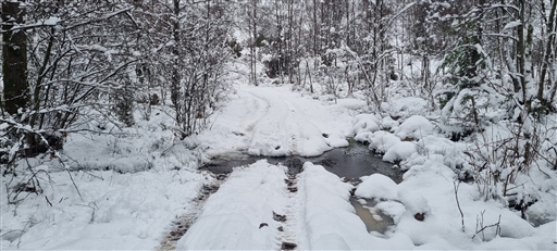 Bild uppladdad av Nicklas Nordborg