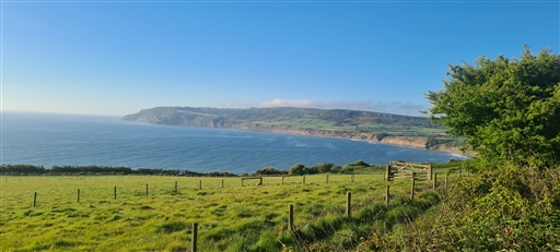 Bild uppladdad av Henrik Ortman