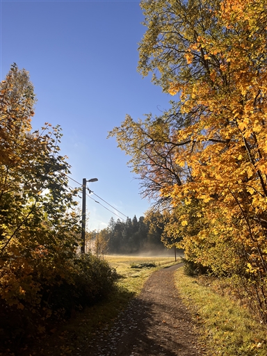 Bild uppladdad av Jenny Nilsson