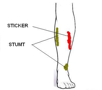 Bild uppladdad av Göran Klensmeden