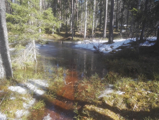 Bild uppladdad av Henrik Ortman