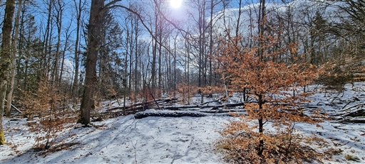 Bild uppladdad av Nicklas Nordborg