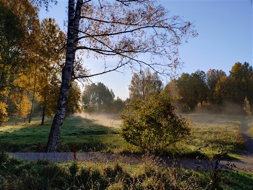 Bild uppladdad av Samuel