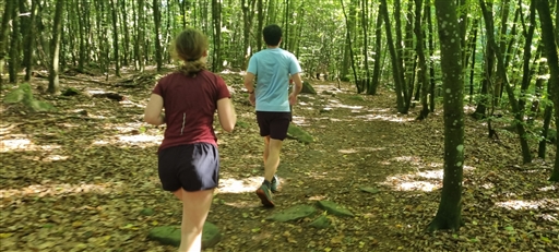 Bild uppladdad av Nicklas Nordborg