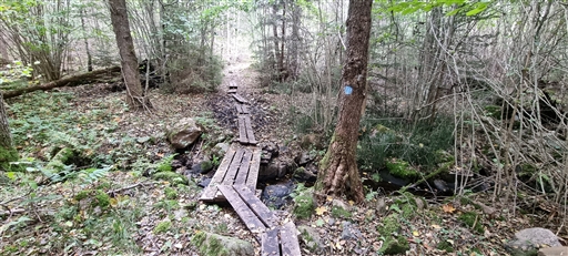 Bild uppladdad av Nicklas Nordborg