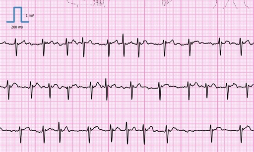 Bild uppladdad av Leif Karlsson