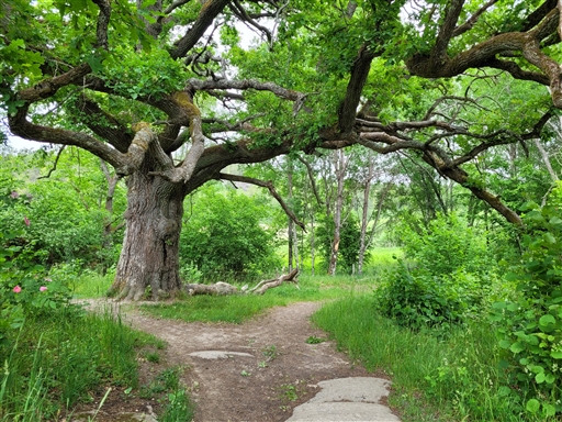 Bild uppladdad av Berit Engst