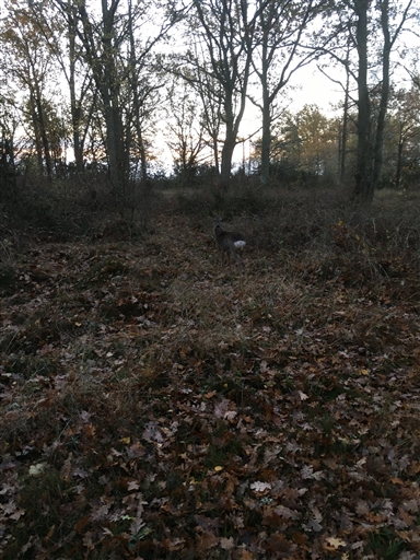 Bild uppladdad av Anita Jönsson