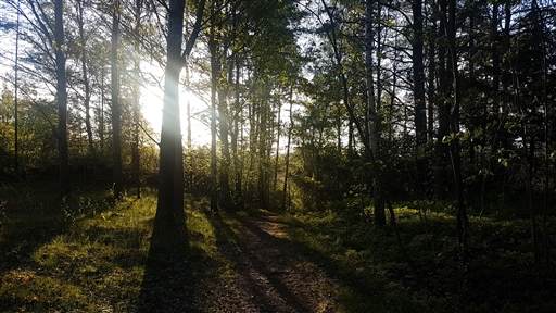 Bild uppladdad av Thomas Abrahamsson 