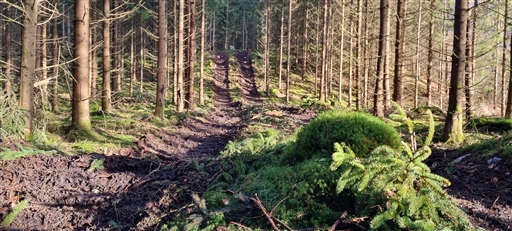 Bild uppladdad av Nicklas Nordborg