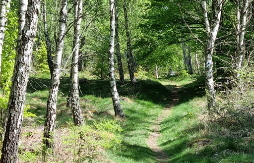 Bild uppladdad av Nicklas Nordborg