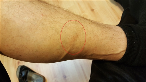 Bild uppladdad av Kalle Kula